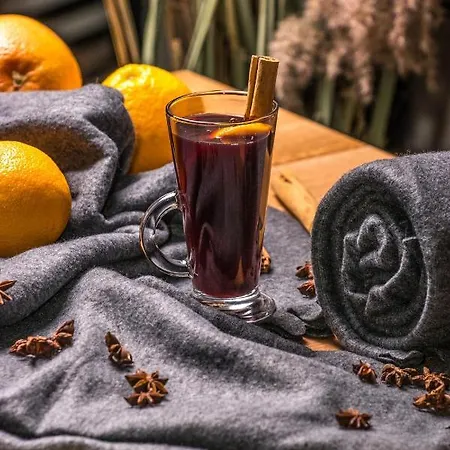 Hotel Sajmino Family House Ostroda